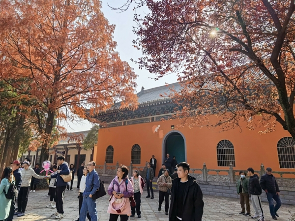 微信图片_20251208130827_爱奇艺_爱奇艺